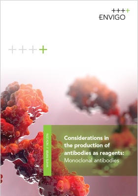 Considerations in monoclonal antibody production