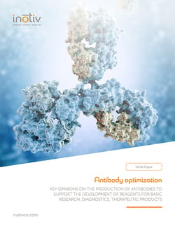 Antibody optimization