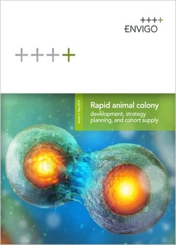 Rapid animal colony development, strategy and cohort supply